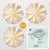 3-PACK + Cord | White Luce 16" Pizzelle Designer Illuminated Paper Star Lanterns and Lamp Cord Hanging Decorations - AsianImportStore.com - B2B Wholesale Lighting and Decor