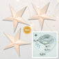 3-PACK + Cord | Luna 36" Illuminated Paper Star Lanterns and Lamp Cord Hanging Decorations - AsianImportStore.com - B2B Wholesale Lighting and Decor