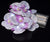 White Orchid String Light - AsianImportStore.com - B2B Wholesale Lighting and Decor