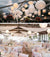 14" White Round Paper Lantern, Even Ribbing, Chinese Hanging Wedding & Party Decoration - AsianImportStore.com - B2B Wholesale Lighting and Decor