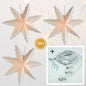 3-PACK + Cord | White Winter Holiday Spirit 32" Pizzelle Designer Illuminated Paper Star Lanterns and Lamp Cord Hanging Decorations - AsianImportStore.com - B2B Wholesale Lighting and Decor