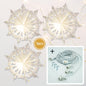 3-PACK + Cord | White Semplice 24" Pizzelle Designer Illuminated Paper Star Lanterns and Lamp Cord Hanging Decorations - AsianImportStore.com - B2B Wholesale Lighting and Decor
