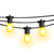 24 Socket Multi-Color Outdoor Commercial String Light Set, 54 FT Black Cord w/ 2-Watt Shatterproof LED Bulbs, Weatherproof SJTW